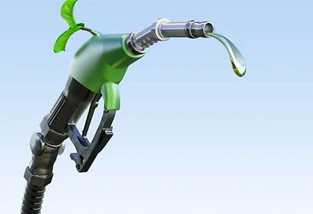 Biofuels: All You Need to Know
